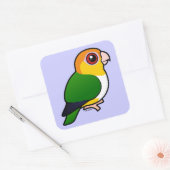 Sticker Carré Perroquet à ventre blanc (Enveloppe)