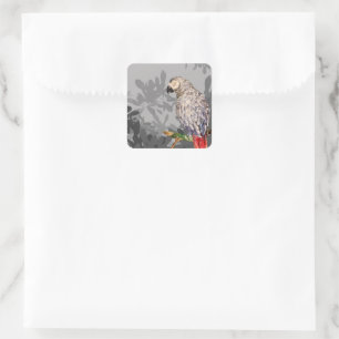 Sticker Carré Perroquet gris africain