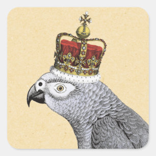 Sticker Carré Perroquet gris avec la couronne royale