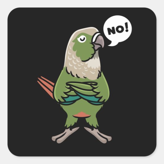 Sticker Carré Perruche verte Conure à jouet vert (Devant)