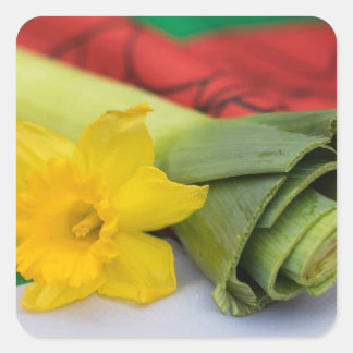 Sticker Carré Personnalisation Leek-Welsh
