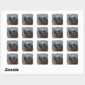 Sticker Carré Personnaliser (Feuille)