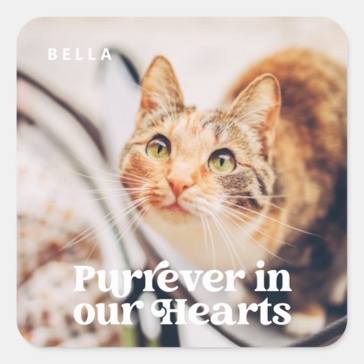 Sticker Carré Pet Memorial Forever dans nos coeurs Photo simple (Devant)