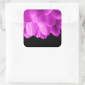 Sticker Carré Pétales de fleurs roses chaudes sur noir (Sac)