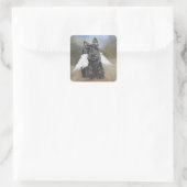 Sticker Carré Petit ange Scottie (Sac)