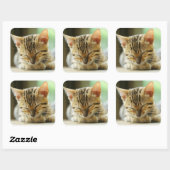 Sticker Carré Petit Bébé de couchage Kitty (Feuille)