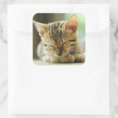 Sticker Carré Petit Bébé de couchage Kitty (Sac)