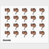 Sticker Carré Petit Bébé Singtail Possum (Feuille)