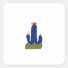Petit cactus