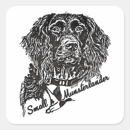 Sticker Carré Petit Munsterlander (logo) (Devant)