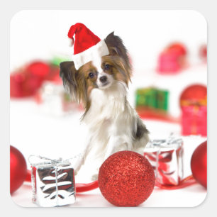 Sticker Carré Petit Papillon Chien Noël Santa Hat