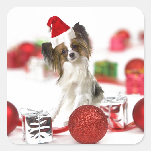 Sticker Carré Petit Papillon Chien Noël Santa Hat (Devant)