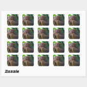 Sticker Carré Petit tarsier philippin (Feuille)
