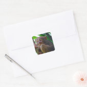 Sticker Carré Petit tarsier philippin (Enveloppe)