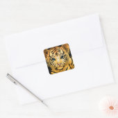 STICKER CARRÉ PETIT TIGER (Enveloppe)