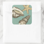 Sticker Carré Petit trio Shell Turquoise (Sac)