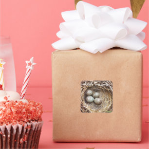 Sticker Carré Petits trésors Photo de Nid d'oiseau Œufs