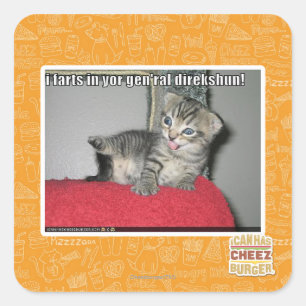 Sticker Carré Pets I dans le direkshun gen'ral de yor