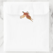 Sticker Carré Pheasant (Sac)