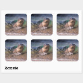 Sticker Carré Phoque du port pour bébés (Feuille)