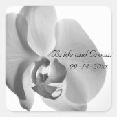 Sticker Carré Phoques d'enveloppes Mariage à orchidées blanches (Devant)