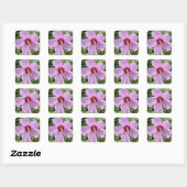 Sticker Carré Photo de fleur (Feuille)