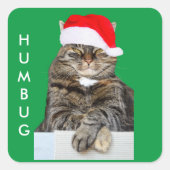 Sticker Carré Photo de Noël Humbug de chat avec Santa Hat (Devant)