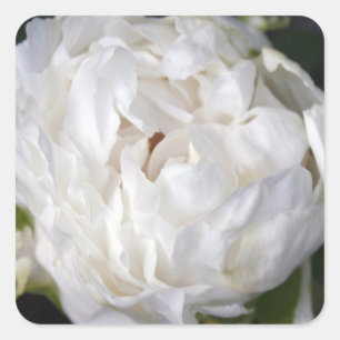 Sticker Carré photo de White Peony Floral