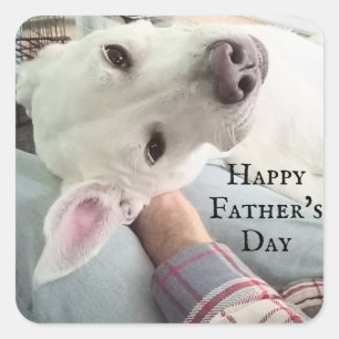 Sticker Carré Photo du chien mignon Best Papa Pal Ever Blue Deni
