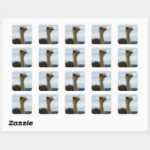 Sticker Carré Photo Oiseau soyeux Ostrich Face Closeuse (Feuille)