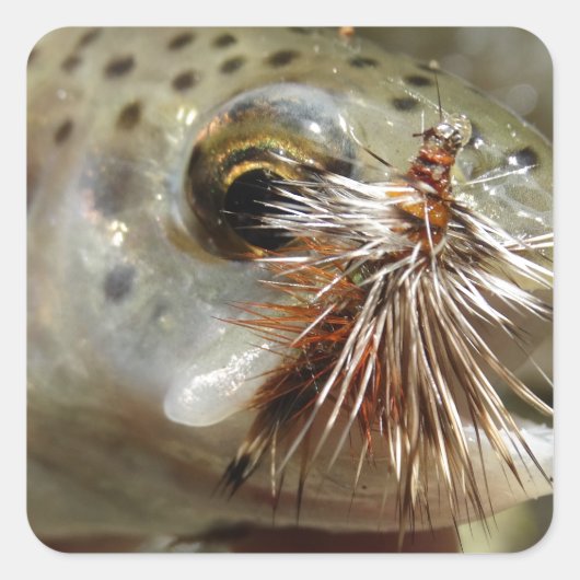 Sticker Carré Photo Rainbow Trump (Devant)