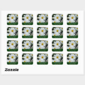 Sticker Carré Photo Shasta Daisies (Feuille)