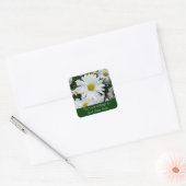 Sticker Carré Photo Shasta Daisies (Enveloppe)