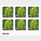 Sticker Carré Photographie Inséparable de Green Parrots (Feuille)