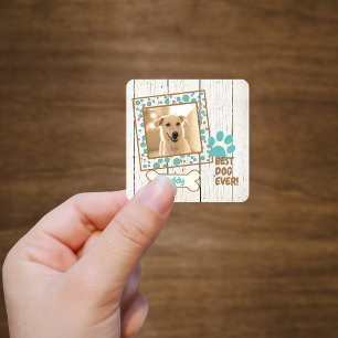 Sticker Carré Photos de chien d'animaux de compagnie