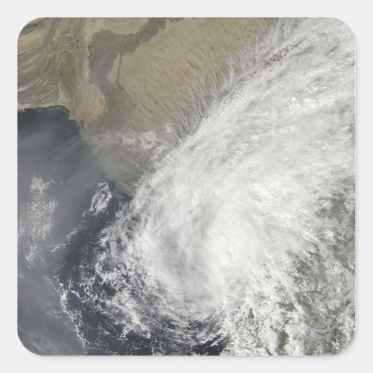 Sticker Carré Phyan tempête tropicale (Devant)