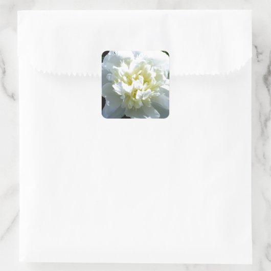 Sticker Carré Pies blanches (Sac)