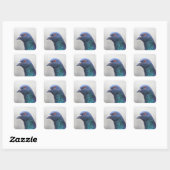 Sticker Carré Pigeon aléatoire (Feuille)