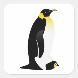 Sticker Carré Pingouin avec son bébé