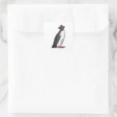 Sticker Carré Pingouin comme pirate avec Casquette (Sac)
