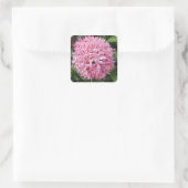 Sticker Carré Pink Ixora Flower (Sac)