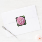 Sticker Carré Pink Ixora Flower (Enveloppe)