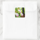 Sticker Carré Pink Lady Slipper sauvage orchidée (Sac)