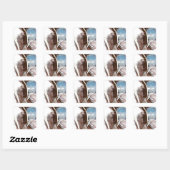 Sticker Carré Pinto Amish Buggy Horse (Feuille)