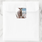 Sticker Carré Pinto Amish Buggy Horse (Sac)