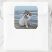 Sticker Carré Pirate de Bulldog (Sac)