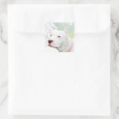 Sticker Carré Pitbull blanc en hiver (Sac)