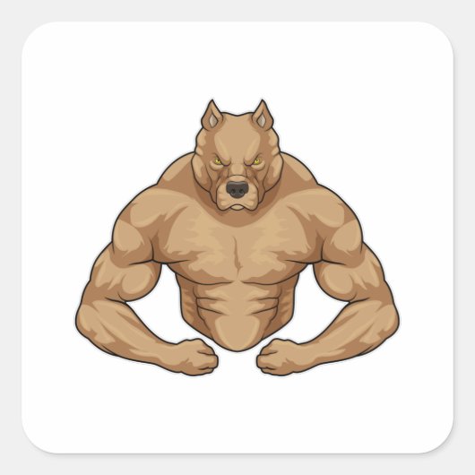 Sticker Carré Pitbull comme Bodybuilder extrême (Devant)