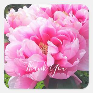 Sticker Carré Pivoines roses