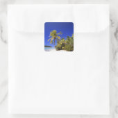 Sticker Carré Plage bordée de palmiers Cook Islands 7 (Sac)